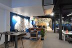 funky-office-design-melbourne