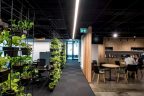 office design with vertical garden partition on left, walk way and kitchen and casual dining on right