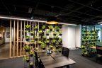 workspace table and chairs, with vertical garden, corridor and vertical wooden spaced slats on opposite side.