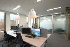 Veneer Desk in office with modern lighting and glass partitions in background to meeting rooms