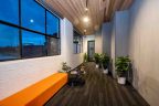 Office hall way. Windows on left, over orange bench seat with panelled carpet and plants