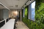 Workspace design in 287 Collins St Melbourne. Meeting room and workspace area.