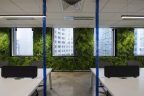 Large Open Plan Workspace Solution Melbourne.