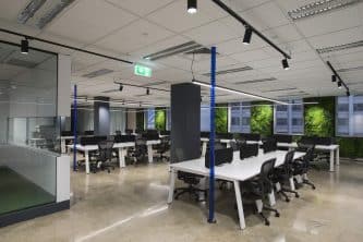 A workspace created for productivity showing glass partition for meeting room, white desks, black chairs, greenery on the outer wall between windows letting in natural light
