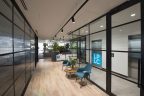 New modern office fitout in Melbourne. Light floor boards, glass framed walls, modern seating and lush green accents