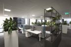 Modern office design. Grey carpet, white desks on left with half, light grey partitions, plants and planters to divide work area.
