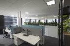 office space with grey carpet, white sit stand desks, half partitions, white storage, black framed accent planters on right with wooden look plant boxes to divide workspace